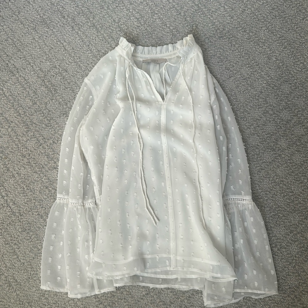 Sheer top